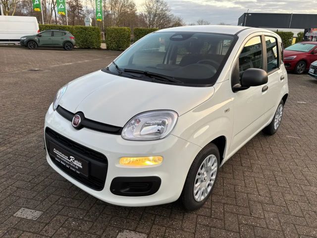 Fiat Panda Panda 1.0 GSE Mild-Hybrid | Klima | Tagfahrlicht