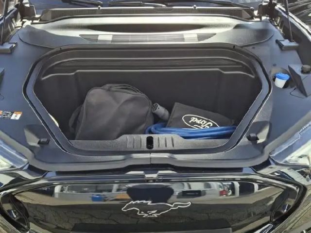 Ford Mustang Mach-E AWD