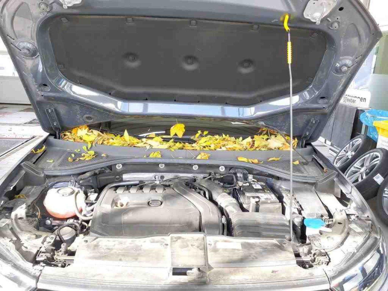 Volkswagen T-Roc 1.5 TSI Cabriolet DSG R-Line