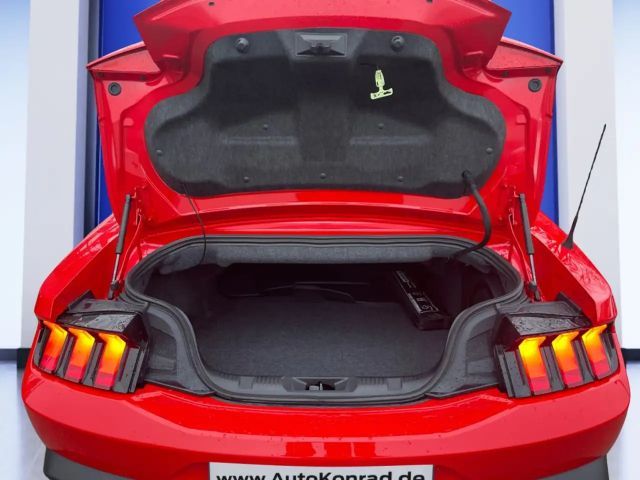 Ford Mustang Convertible GT 5.0 V8