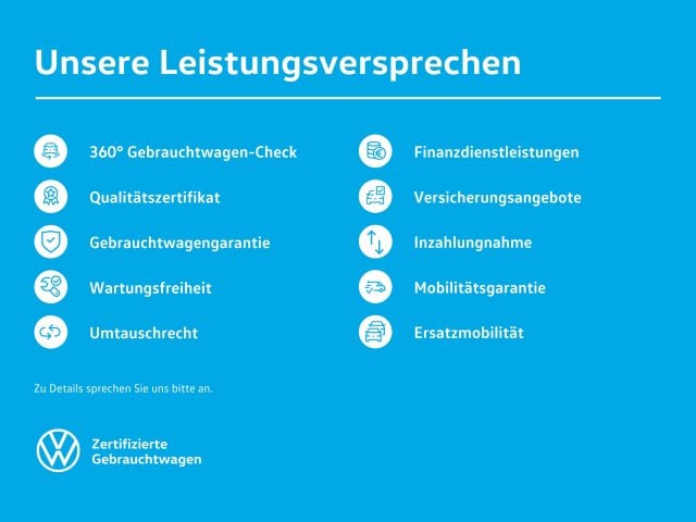 Volkswagen Polo 2.0 TSI Pro