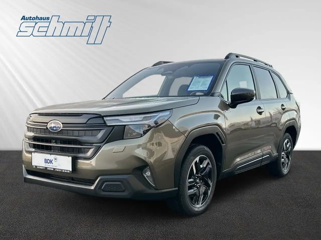 Subaru Forester Exclusive