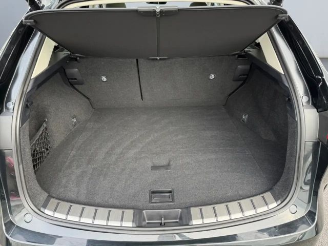 Lexus NX Executive Line