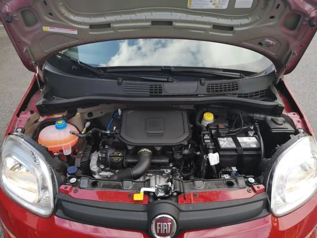 Fiat Panda Panda Pandina Mild Hybrid