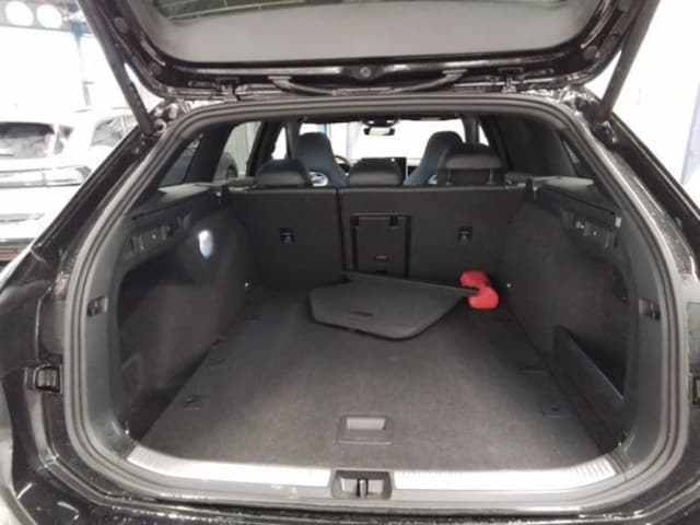 Volkswagen Passat 2.0 TDI DSG R-Line Variant