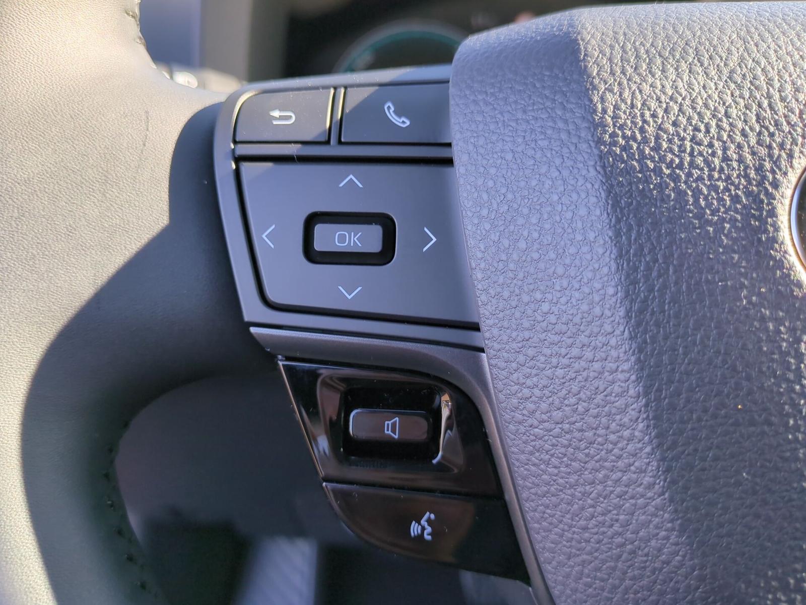 Toyota C-HR Plug-in Team D