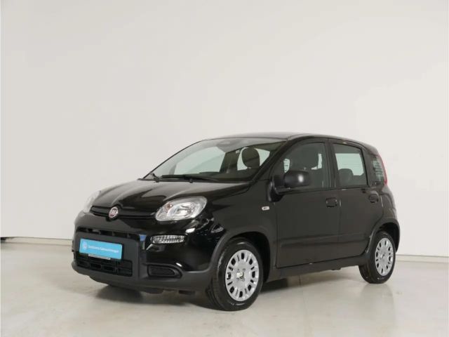 Fiat Panda 1.0 GSE Hybrid