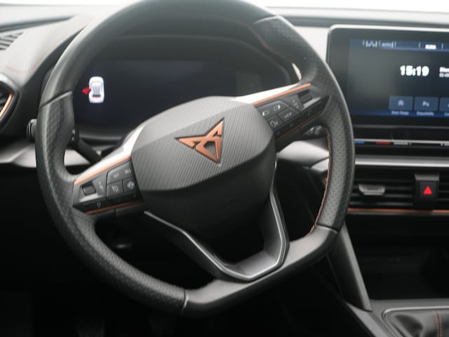 Cupra Formentor Formentor TSI  ACC AHK NAVI SHZ LED