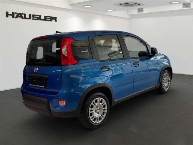 Fiat Panda Hybrid *Klima* *PDC* *digitaler Tacho* uvm.