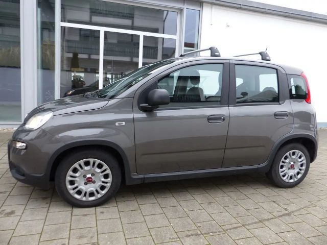 Fiat Panda 1.0 Mild-Hybrid Klimaanlage Bluetooth DAB