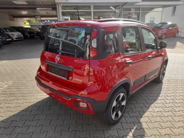 Fiat Panda RED