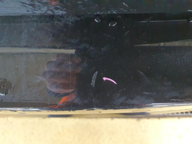 Skoda Karoq 2.0 TSI Sportline