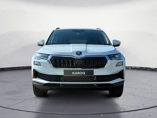 Skoda Karoq Tour