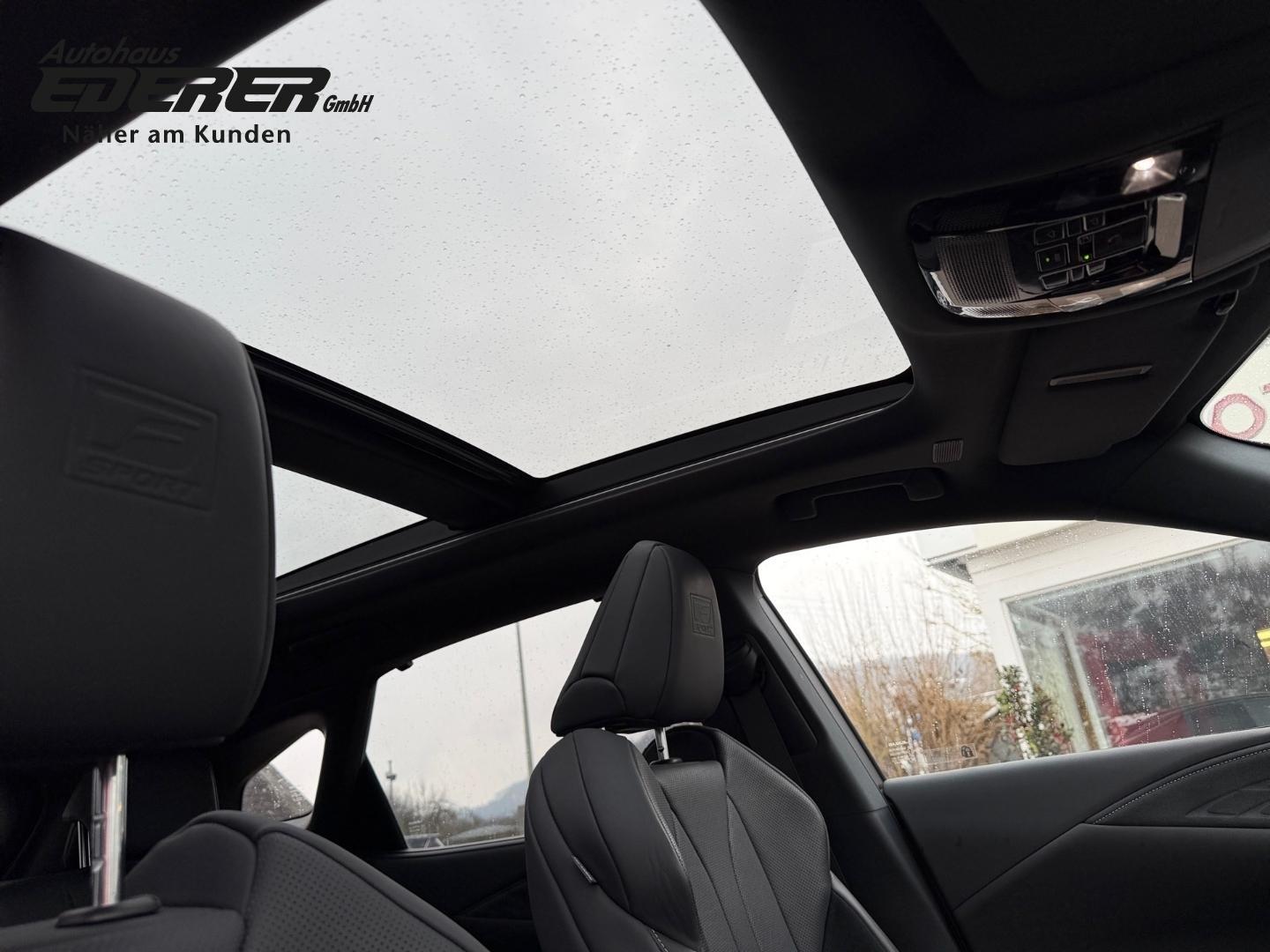 Lexus RX-Serie F Sport Sport