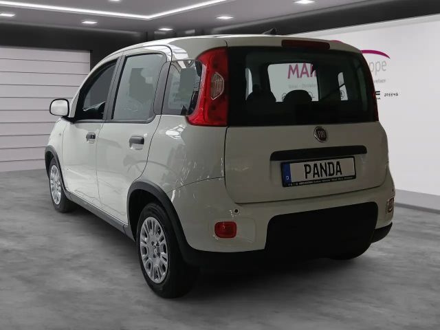 Fiat Panda Pandina 1.0 GSE