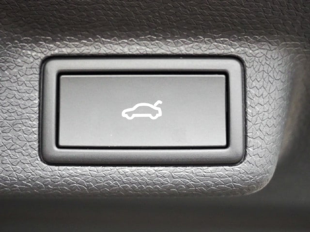 Volkswagen ID.Buzz Plus Pro