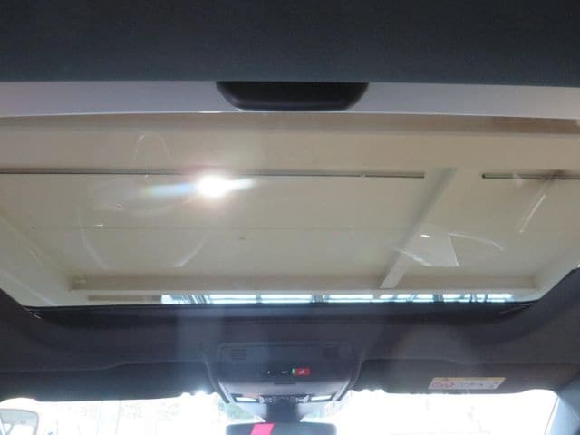 Volkswagen Polo 2.0 TSI DSG