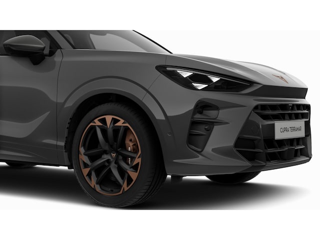 Cupra Terramar 2.0 TSI VZ