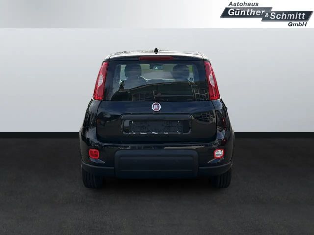 Fiat Panda 1.0 Pandina