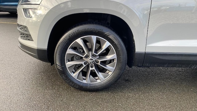 Skoda Karoq KAROQ        AMB  TD110/2.0A7A