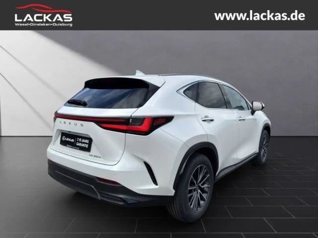 Lexus NX Executive Line