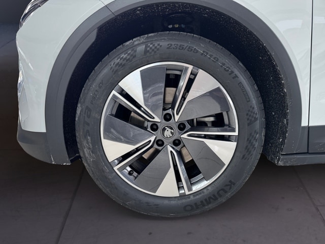 Skoda Elroq Loft NAVI LED WMP AHK