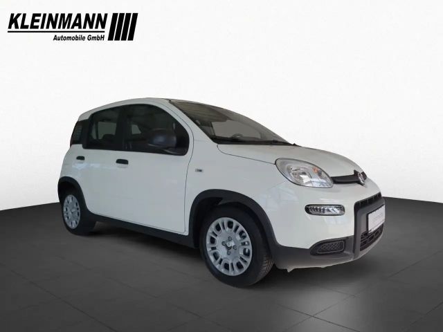 Fiat Panda "Pandina Urban" 1.0 GSE Hybrid (71 PS)