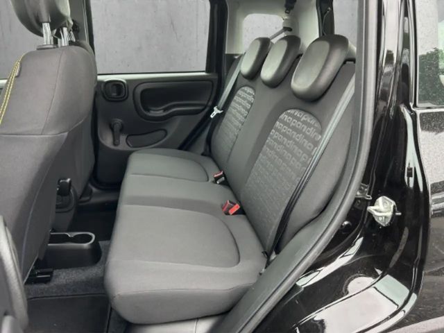 Fiat Panda /Pandina 1.0 Mild Hybrid/PDC/Start&Stopp