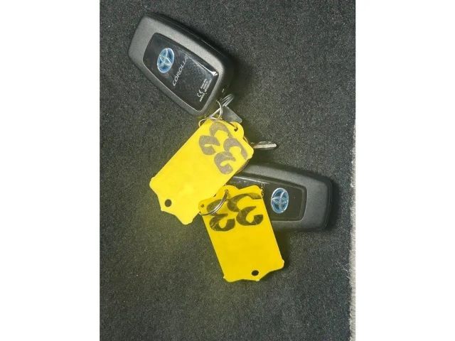 Toyota Corolla Hybride Team D