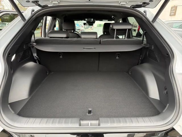 Hyundai IONIQ 5 Ioniq 5 N