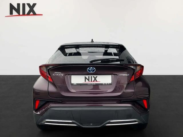 Toyota C-HR Hybride Team D