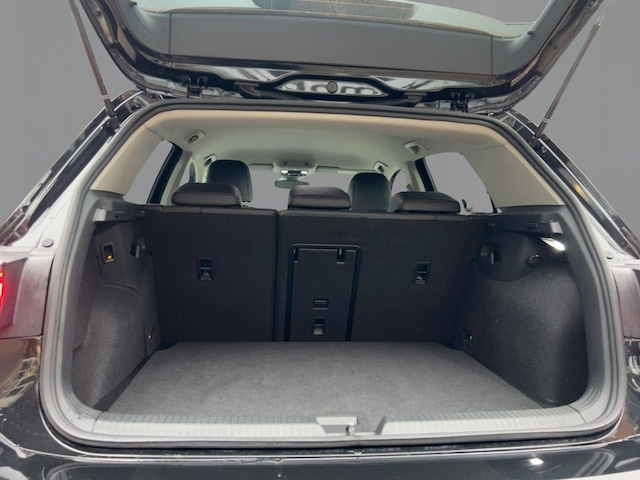 Volkswagen Golf 1.5 eTSI DSG Golf VIII