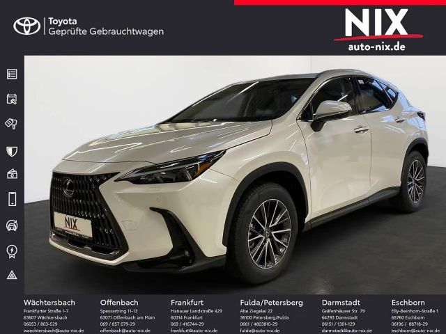 Lexus NX Executive Line