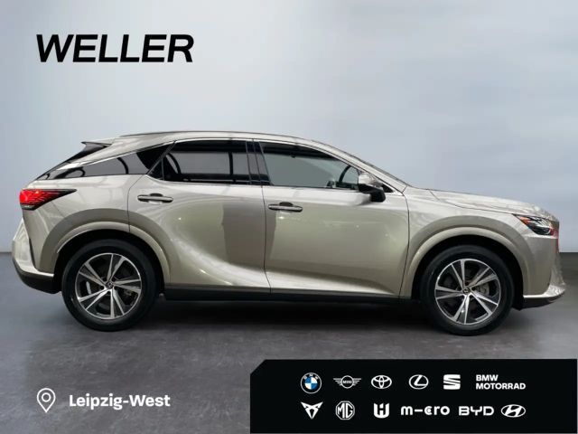 Lexus RX-Serie Business Line