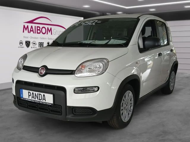 Fiat Panda Pandina 1.0 GSE