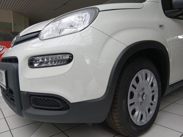 Fiat Panda Pandina 1.0 GSE