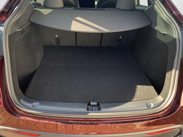 Tesla Model Y Performance