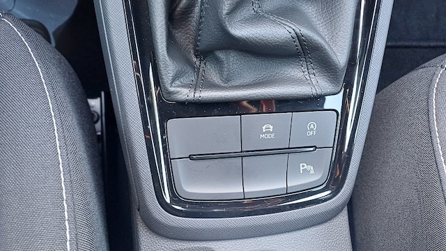 Skoda Kamiq ANSCHLUSSGARANTIE, PANORAMA, KAMERA