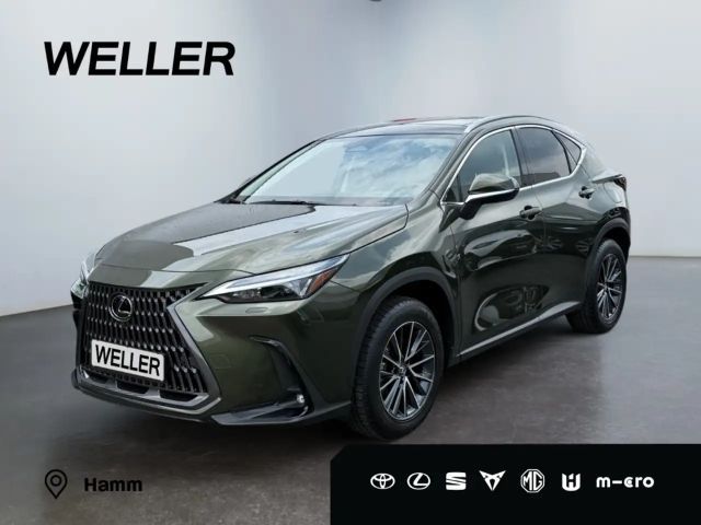 Lexus NX Executive Line