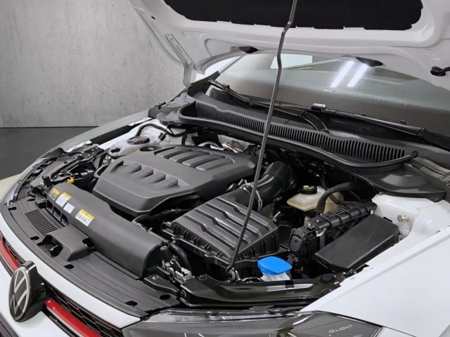 Volkswagen Polo 2.0 TSI DSG GTI