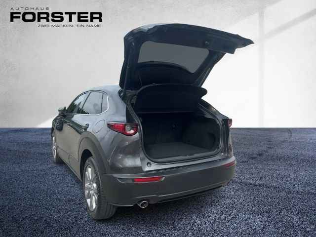 Mazda CX-30 /G122/COMFORTt+/STYLE LED Navi SHZ RFK