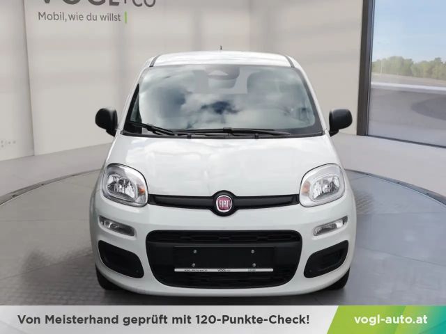 Fiat Panda Panda Mild Hybrid