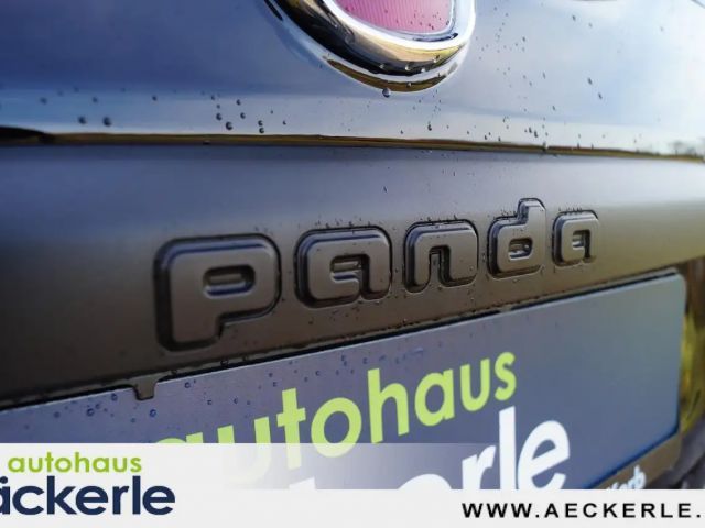 Fiat Panda CityCross Cross