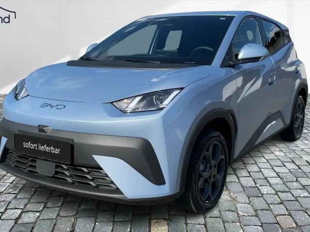 BYD Dolphin Surf Boost