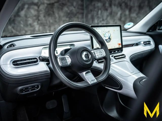 Smart #1 PULSE #368PS #ALLE ANDEREN HABEN KEINE AHNUNG