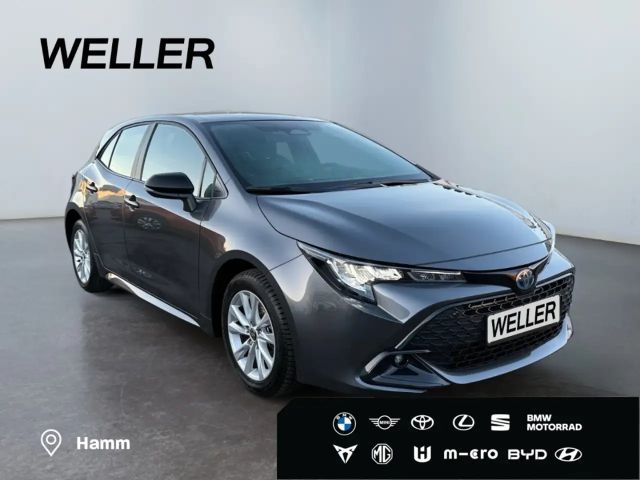 Toyota Corolla Business Hybride