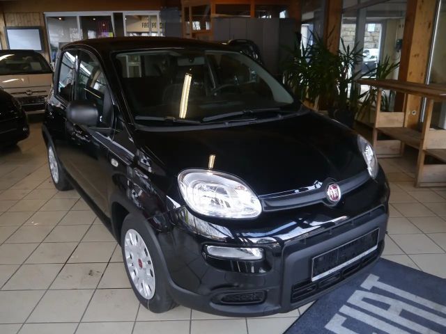 Fiat Panda Base Tageszulassung