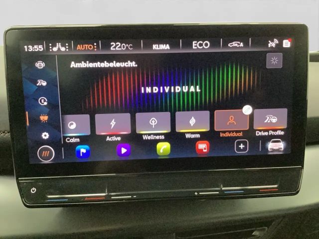 Cupra Born 360 ALLWETTER LM19 PRIVACY SITZHZ