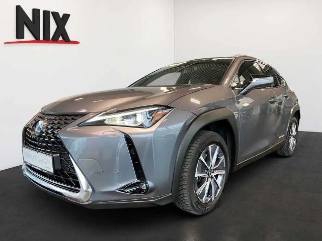 Lexus UX Executive Line