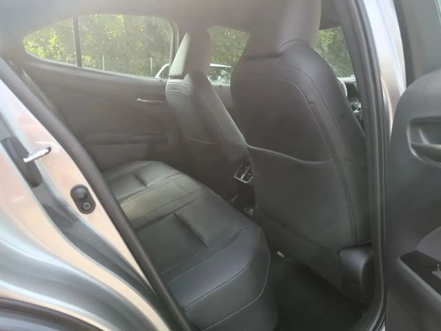 Lexus UX Basis Klima Kamera Sitzhzg Tempomat